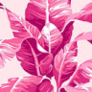 Meet your Posher, Carina